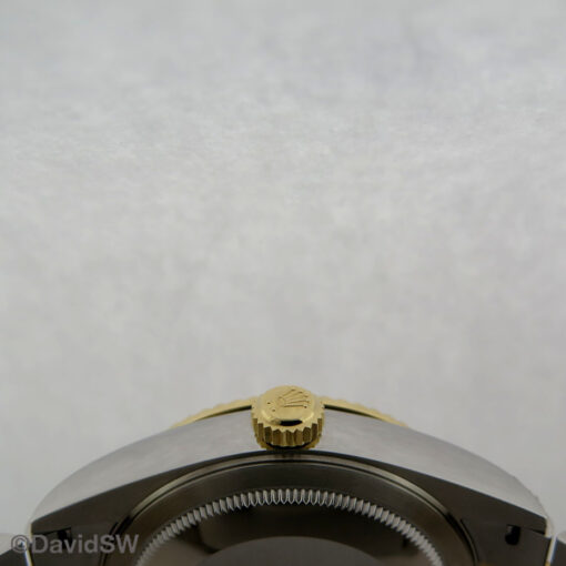 15520570 img 2904