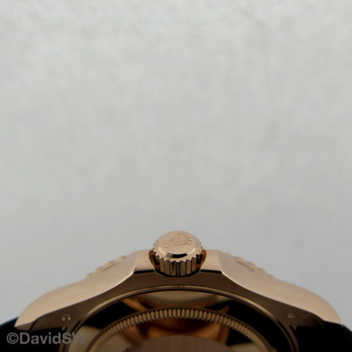 IMG 3184