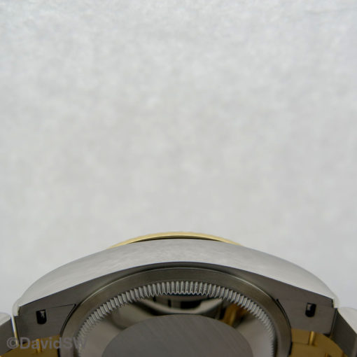 IMG 4582