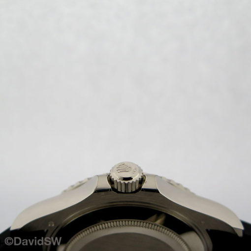 IMG 0228