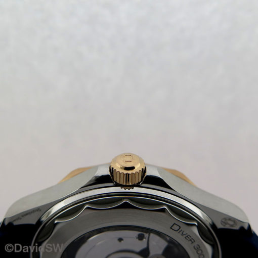 IMG 0471