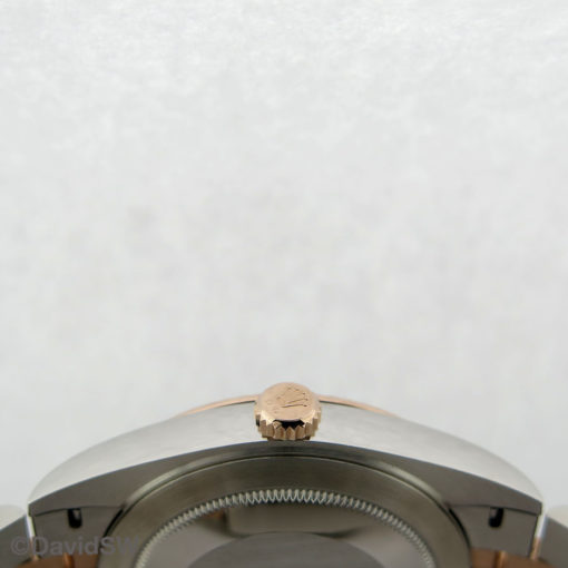 IMG 7232