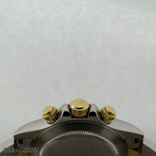 IMG 7398