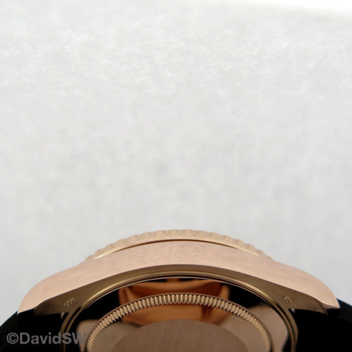 IMG 7464