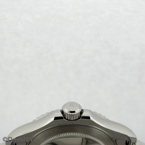 IMG 7737