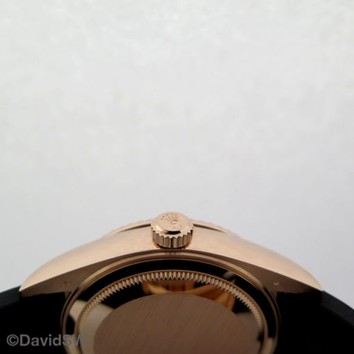 IMG 7813
