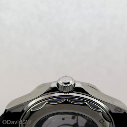 IMG 7949