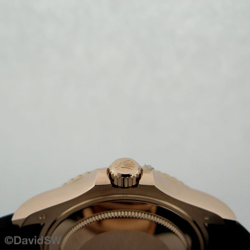 IMG 8545