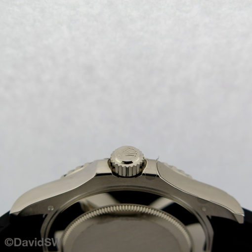 IMG 8868
