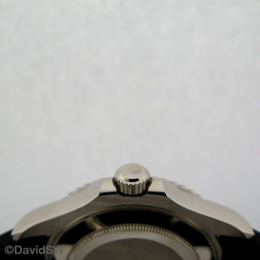 IMG 8972