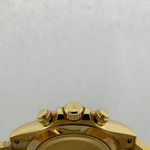IMG 2558