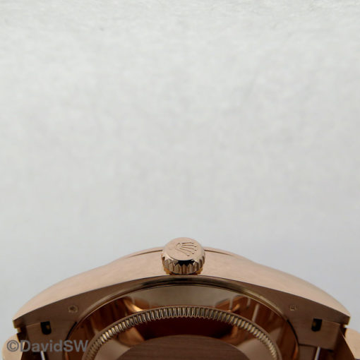 IMG 7381