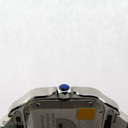 IMG 7646