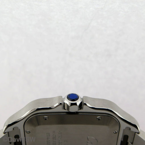IMG 7656