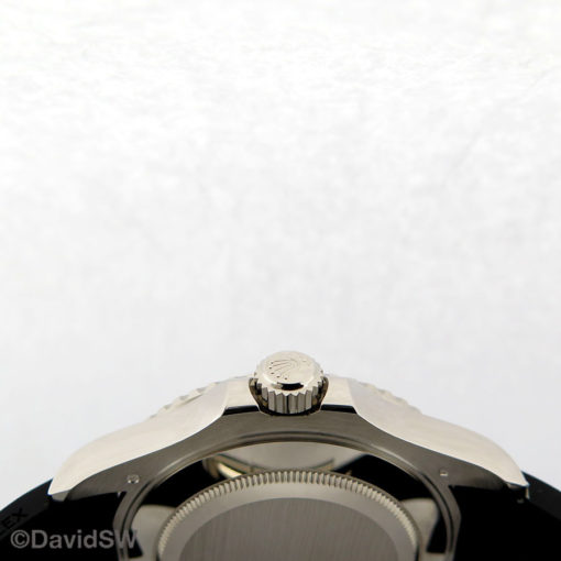 IMG 7706