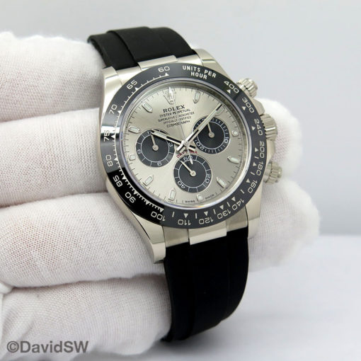 IMG 3518