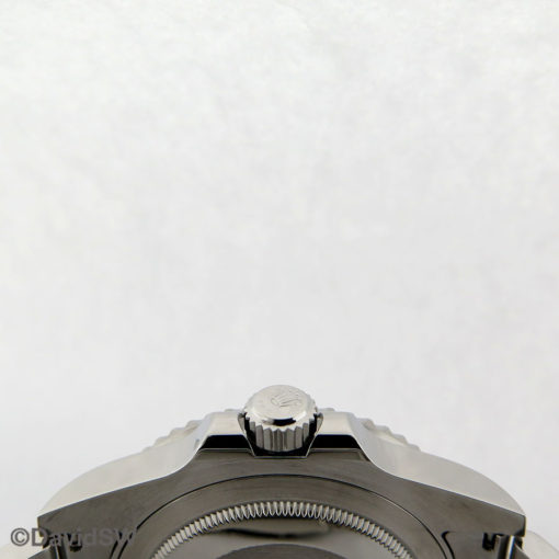 IMG 7004