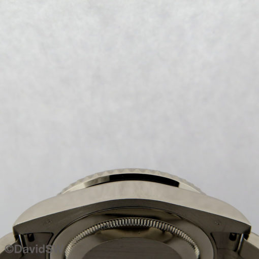 IMG 7075