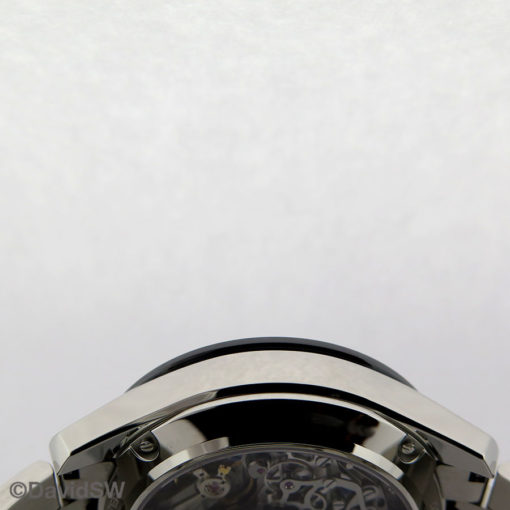 IMG 7462