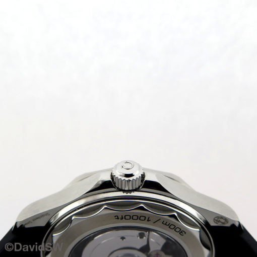 IMG 7657