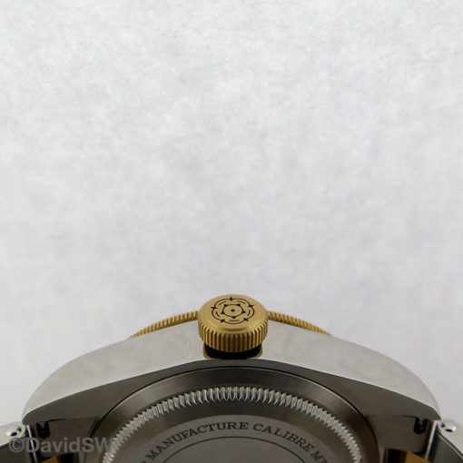 IMG 7806
