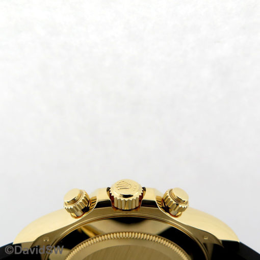 IMG 7841