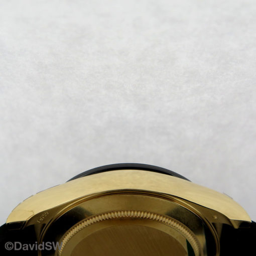 IMG 9817