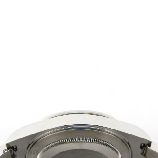 IMG 8247