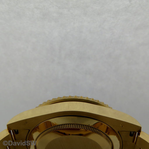 IMG 0557