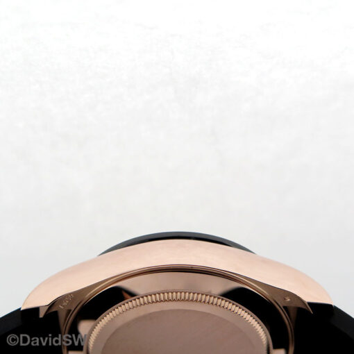 23 10 04 50