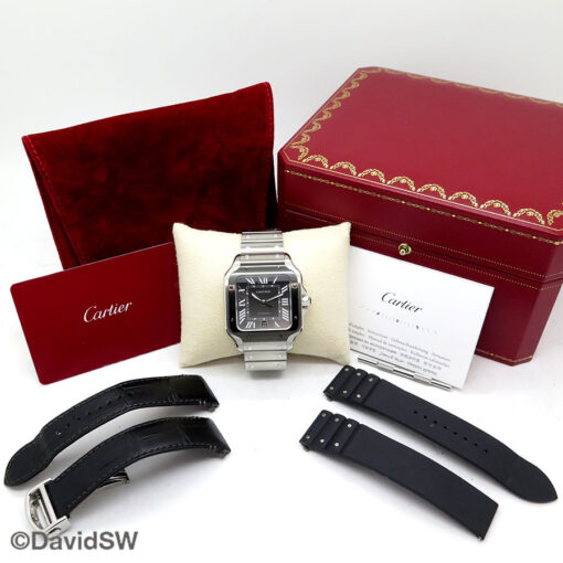 Alternative view of Cartier WSSA0037 Santos De Cartier Large ADLC