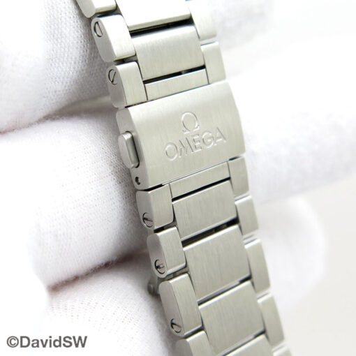 Omega Seamaster Railmaster Grey 40mm Automatic - Image 8