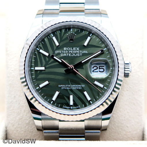 Rolex 126234 Datejust with Olive Green Palm Motif Dial on Oyster - Image 3