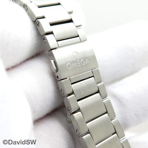 Omega Seamaster Railmaster Blue 40mm Automatic - Image 8