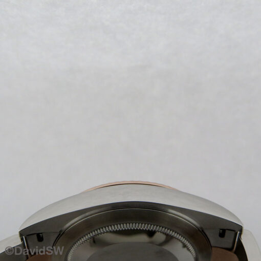 Rolex 126331 Datejust 41 18K/SS with Sundust Stick Dial on Oyster - Image 5