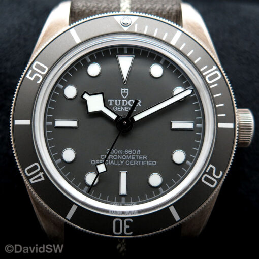 Tudor 79010SG Black Bay Fifty-Eight Sterling Silver 925 with Taupe Dial on NATO - Image 3