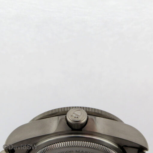 Tudor 25600TN Pelagos with Black Dial - Image 4