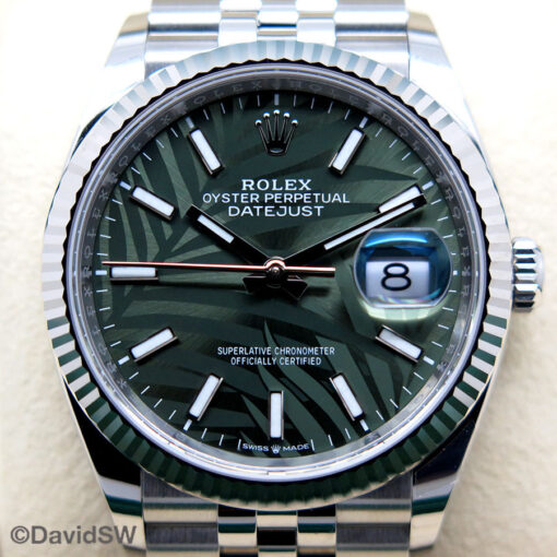 Rolex 126234 Datejust with Olive Green Palm Motif Dial on Jubilee - Image 3