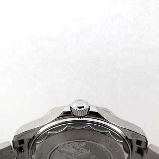 Omega Seamaster Diver 300m "Summer Blue" - Image 6