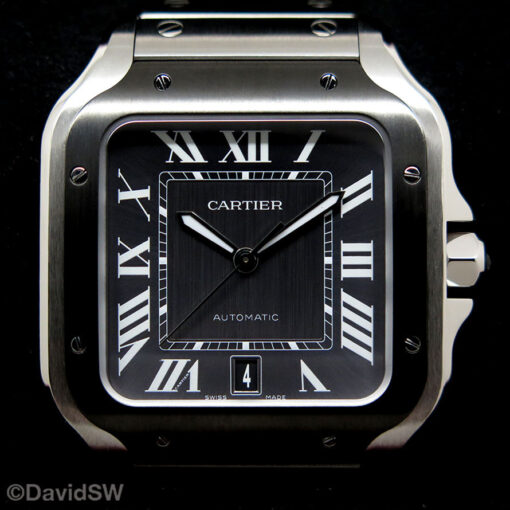 Cartier WSSA0037 Santos De Cartier Large ADLC - Image 3