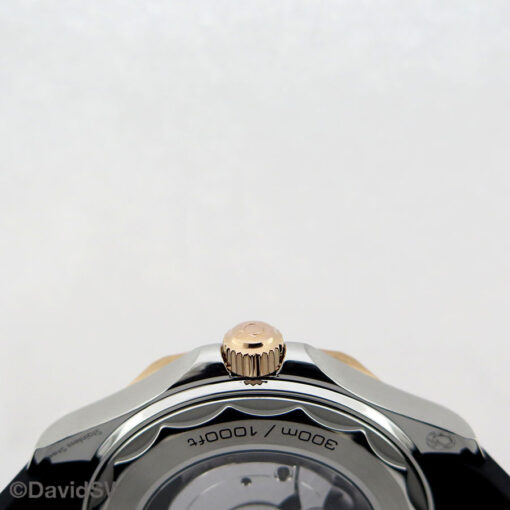 Omega Seamaster Diver 300m 18K Rose/SS with Black Dial on Strap - Image 5