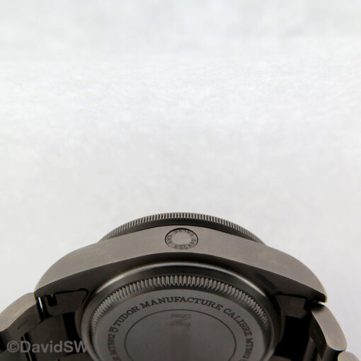 Tudor 25610TNL Pelagos LHD - Image 6