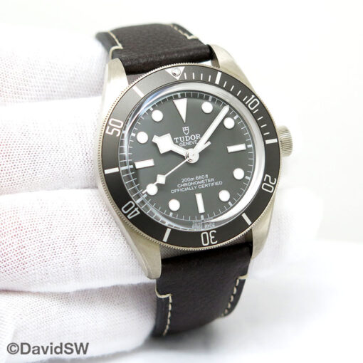 Tudor 79010SG Black Bay Fifty-Eight Sterling Silver 925 with Taupe Dial