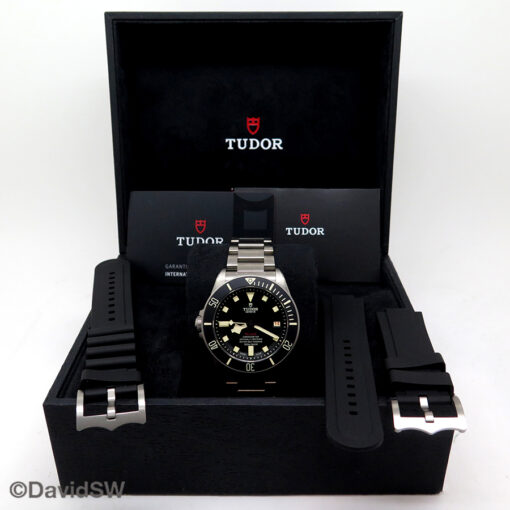Tudor 25610TNL Pelagos LHD - Image 2