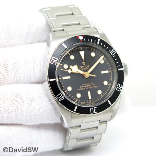 Tudor 79230N Black Bay with Black Bezel on Bracelet