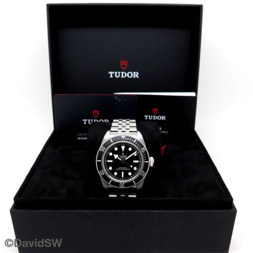 Alternative view of Tudor 7941A1A0NU Black Bay 41mm with Black Bezel