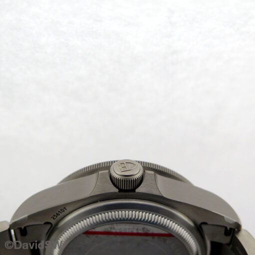 Tudor 25610TNL Pelagos LHD - Image 5