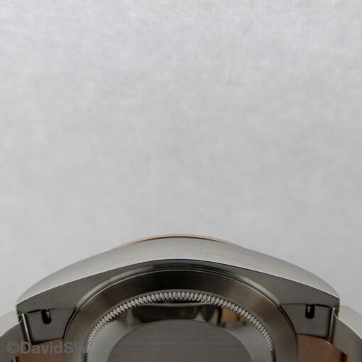 Rolex 126301 Datejust 41 18K/SS with Slate Roman Dial on Oyster - Image 5