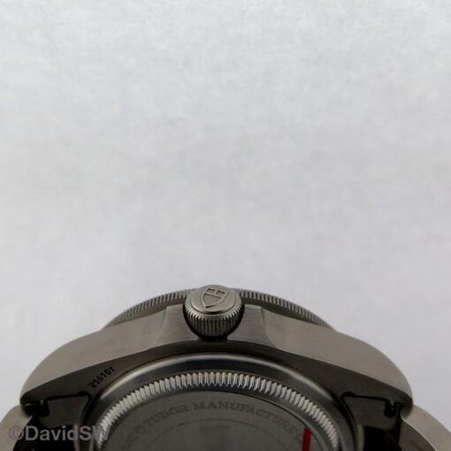 Tudor 25610TNL Pelagos LHD - Image 5