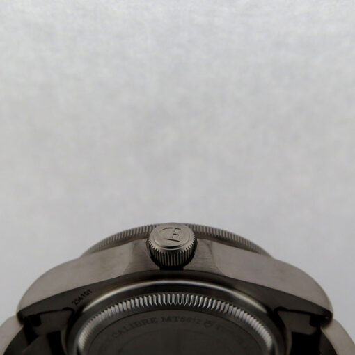 Tudor 25610TNL Pelagos LHD - Image 5